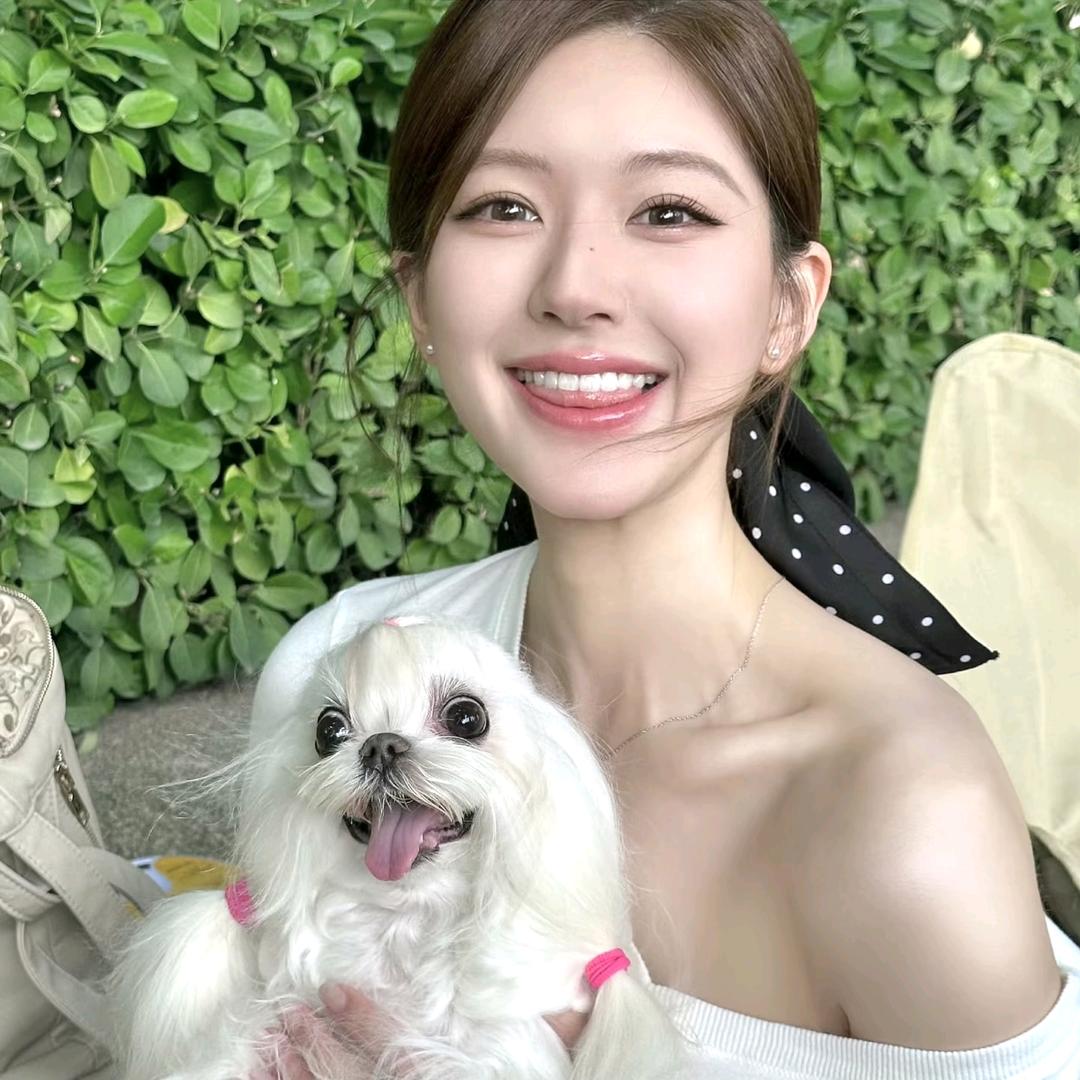 是西红柿总会发光的