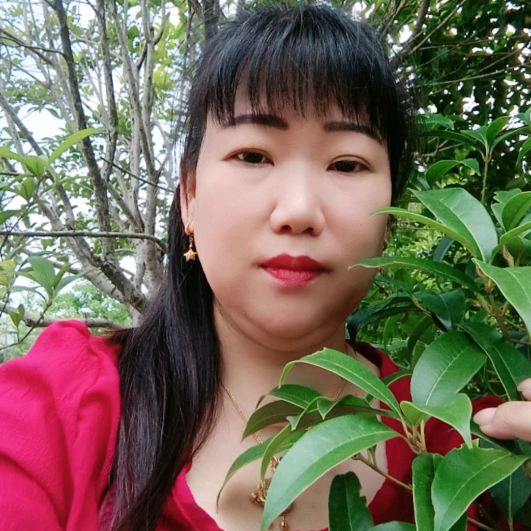 红太狼
