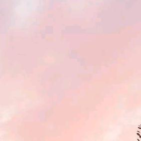 ✧ʕ̢̣̣̣̣̩̩̩̩·͡˔·ོɁ̡̣̣