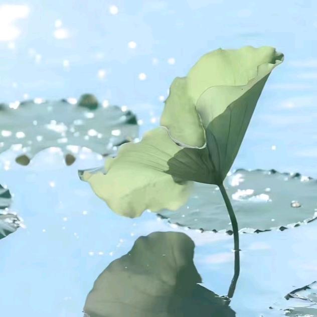 空白一片