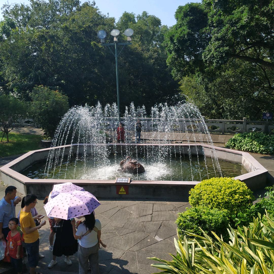 zangn礼哥
