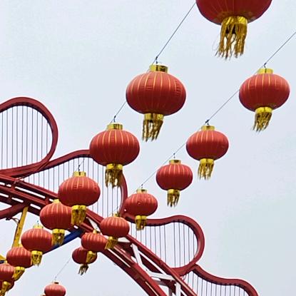 雅桐福慧
