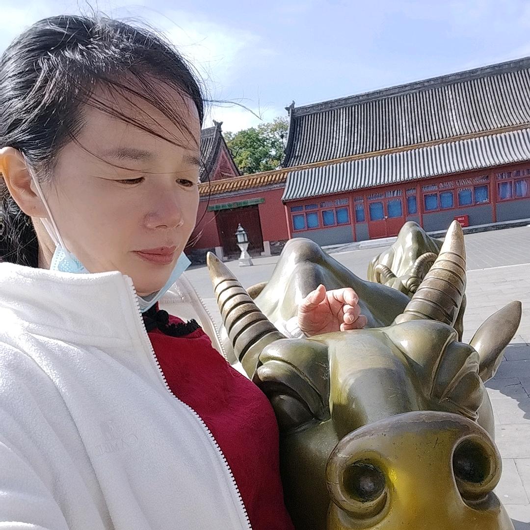 一枝寒梅