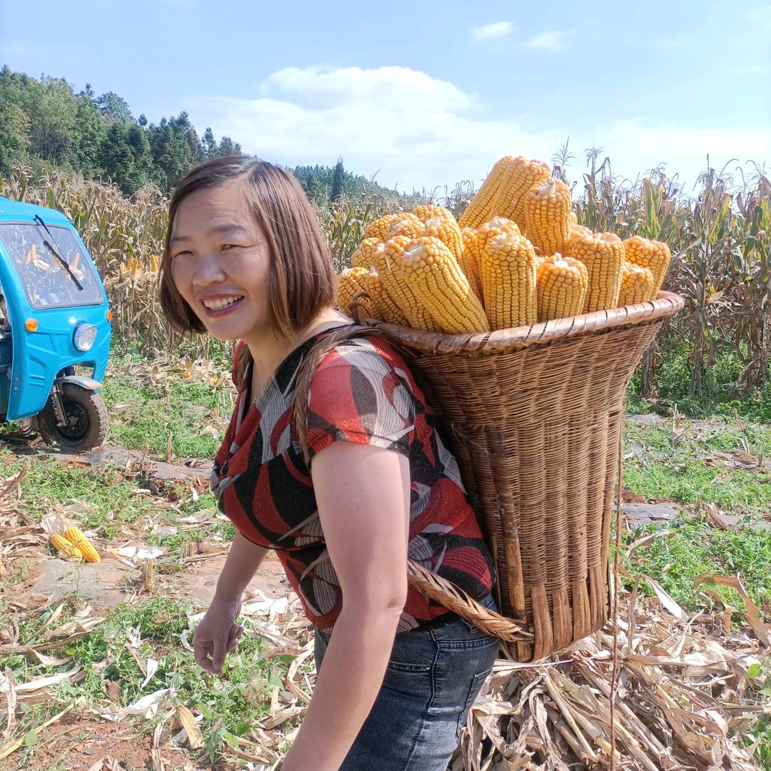 宝山镇民丰农资经营部 谭芬