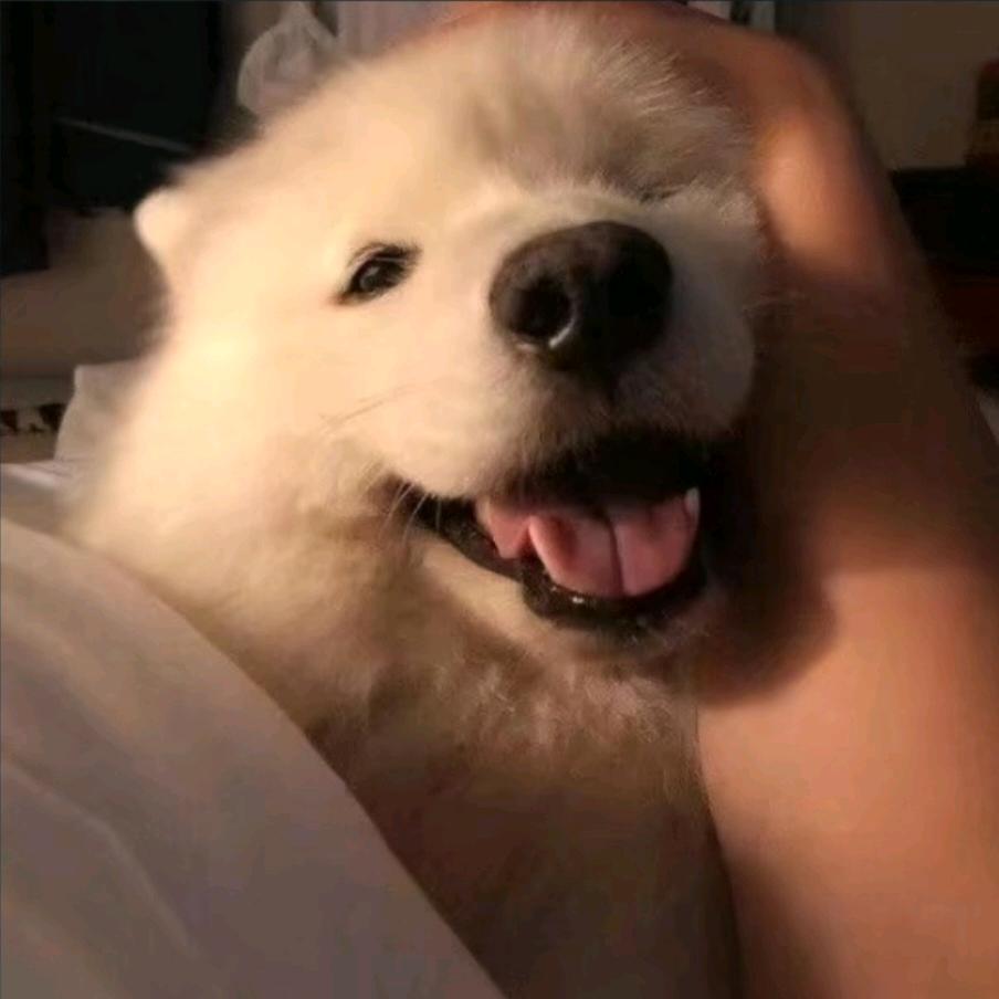 用户82272880127