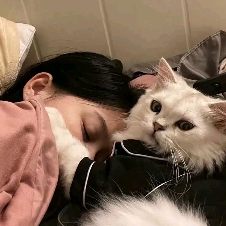 一诺说车