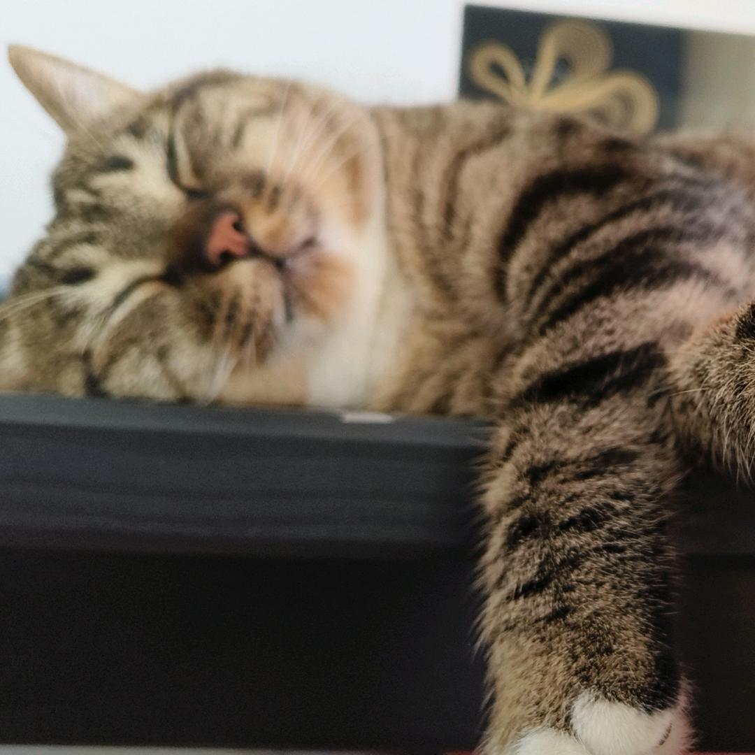 用户3金福贵884078819565