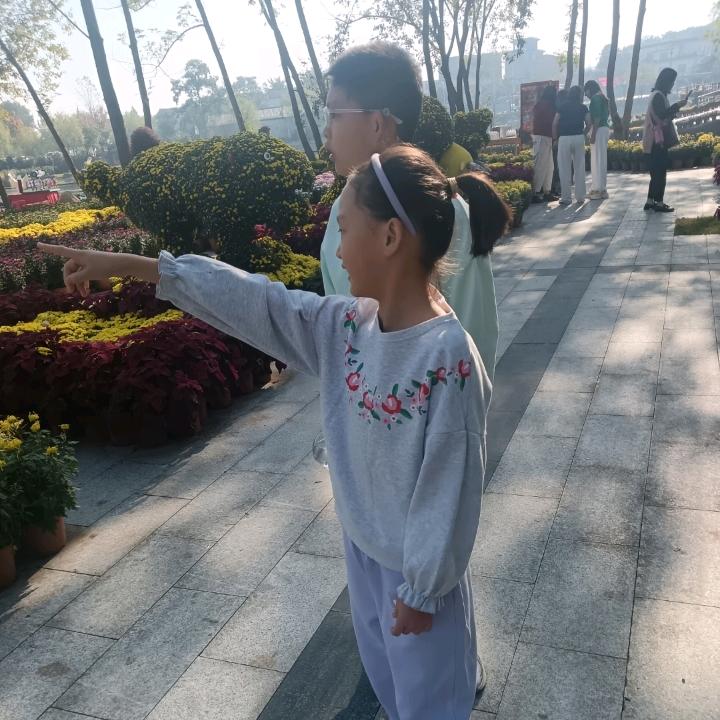 昊昊很哇塞吖