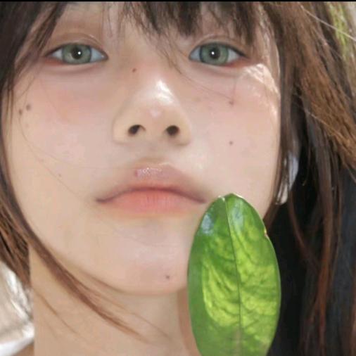 小屿剪影