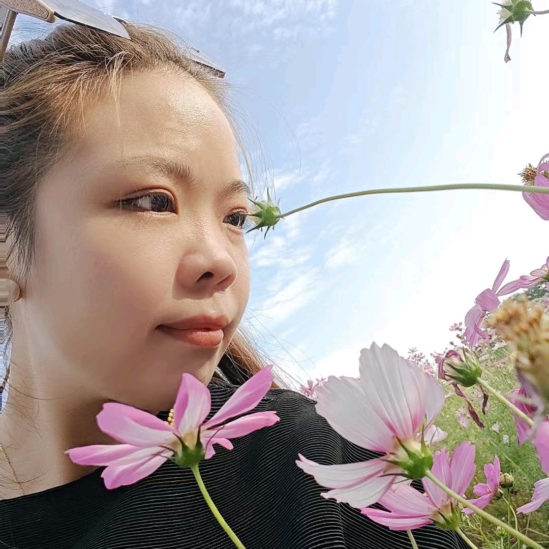 莫梵