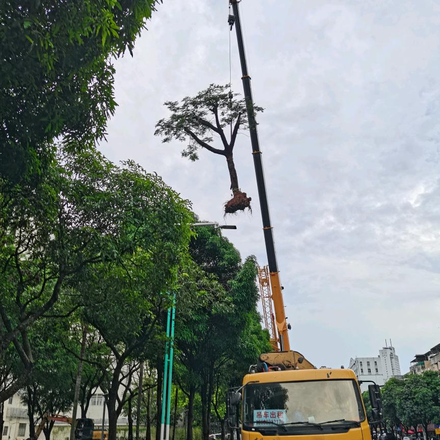 惠州市搬迁起重吊装