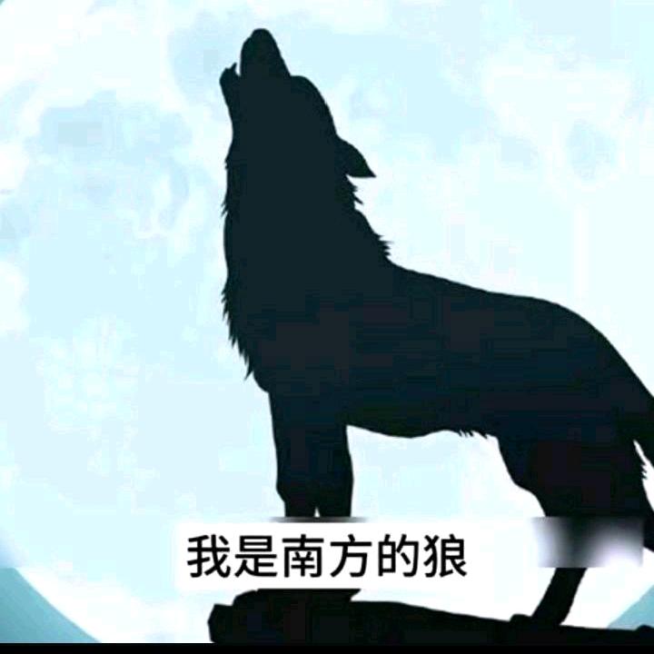 狼人8016