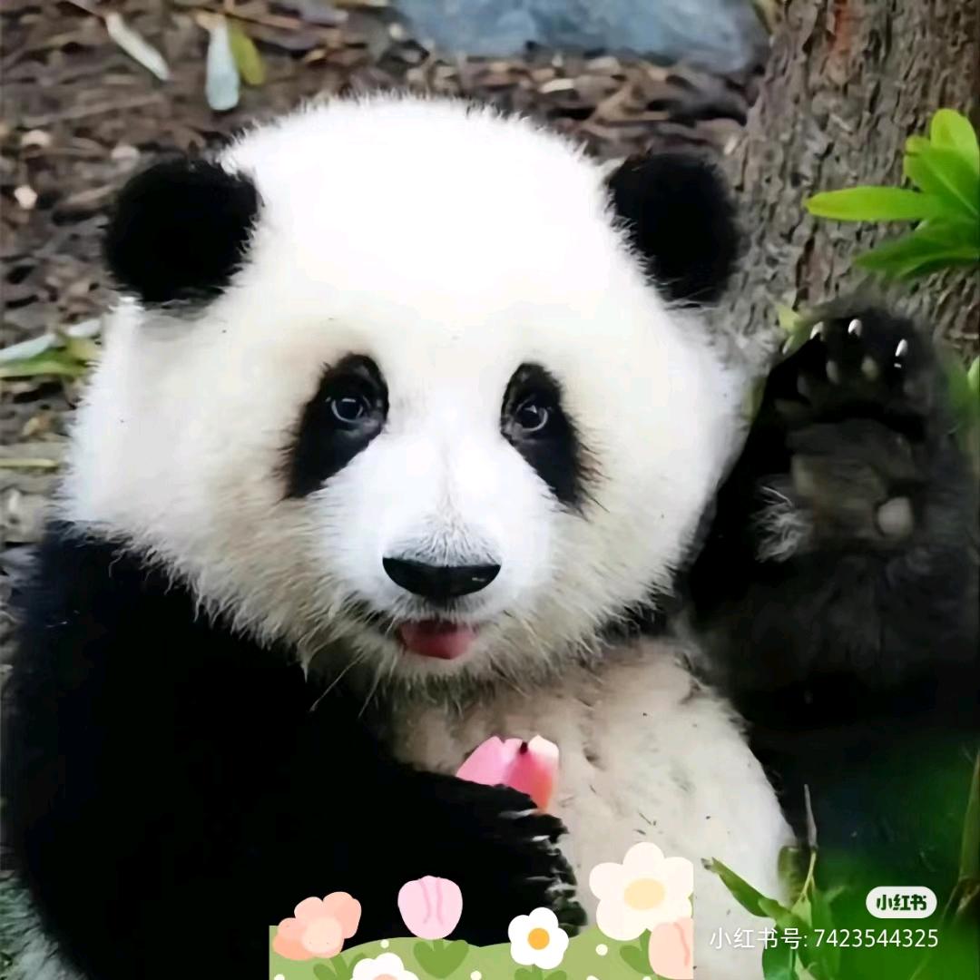 。欢喜
