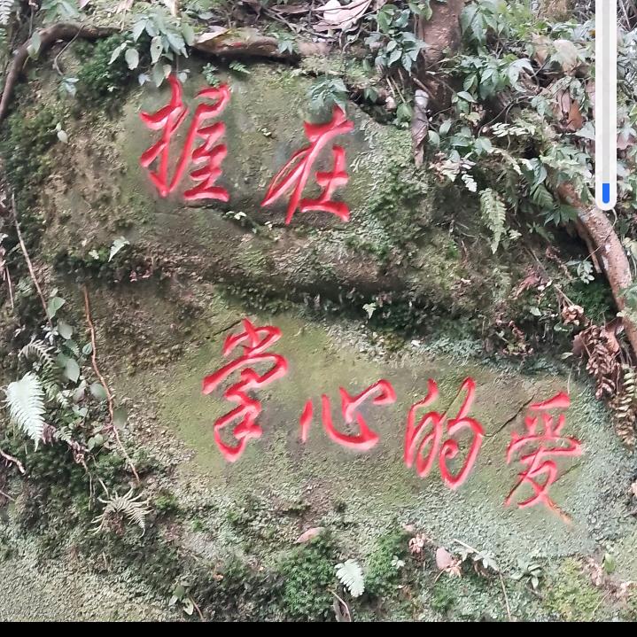 好运降林
