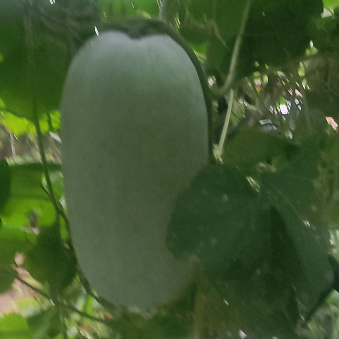 无以唯心