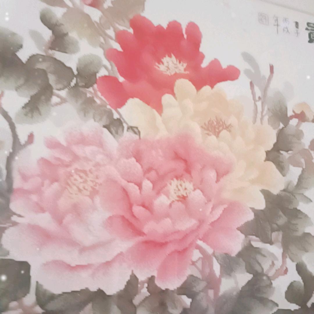 曹县小沈阳🎤(小号)