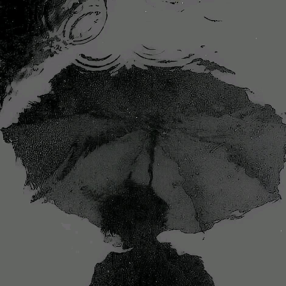 已读不回艺术家.