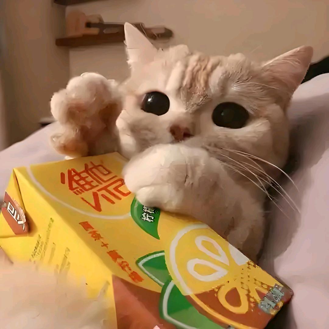 超吉椰Ö