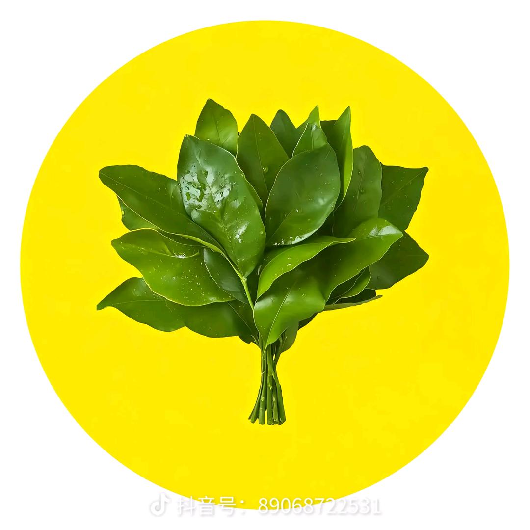 有容乃大，无欲则刚