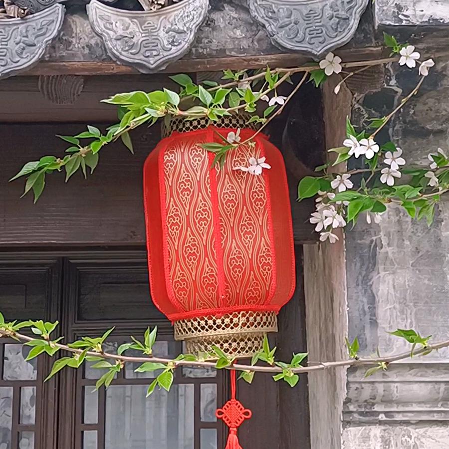 醉美江南水乡古镇—迦南美地