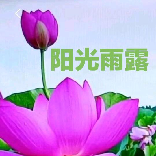🥀ꦿ阳光💔꯭雨露ꦿ࿐支持连赞