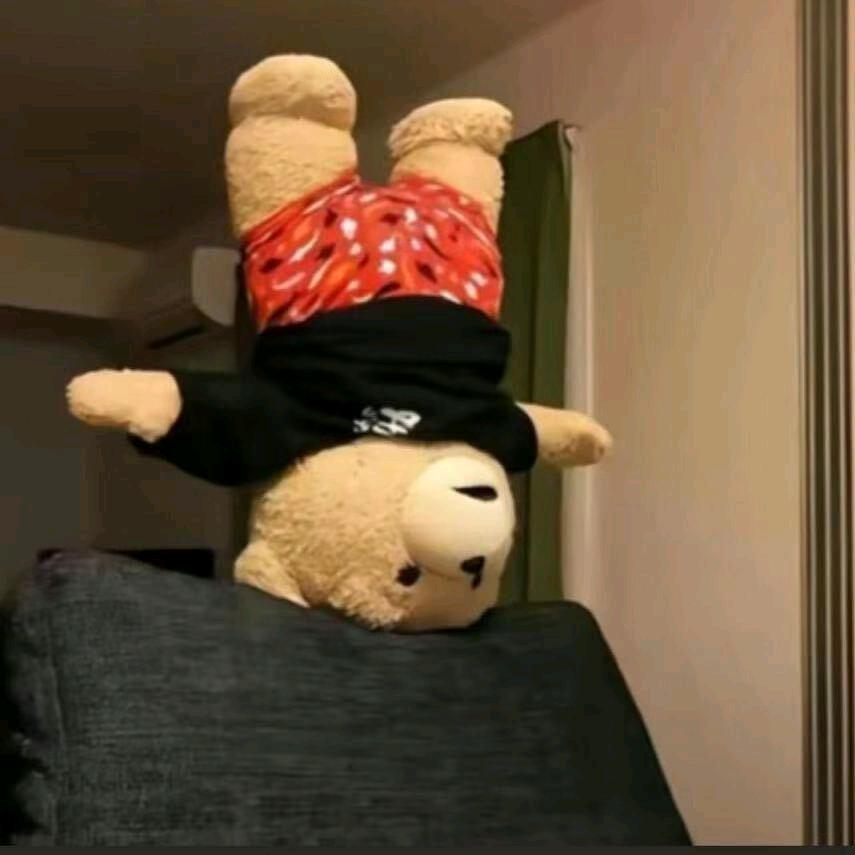 车艺洗车保养 奥迪婚车