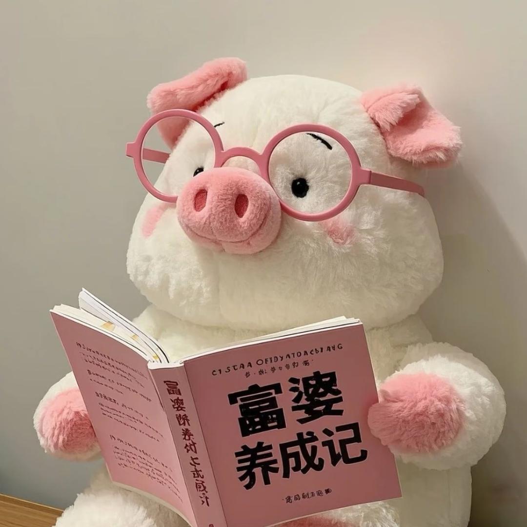 ᰔᩚ⁺⁵²⁰小猪佩奇我配你