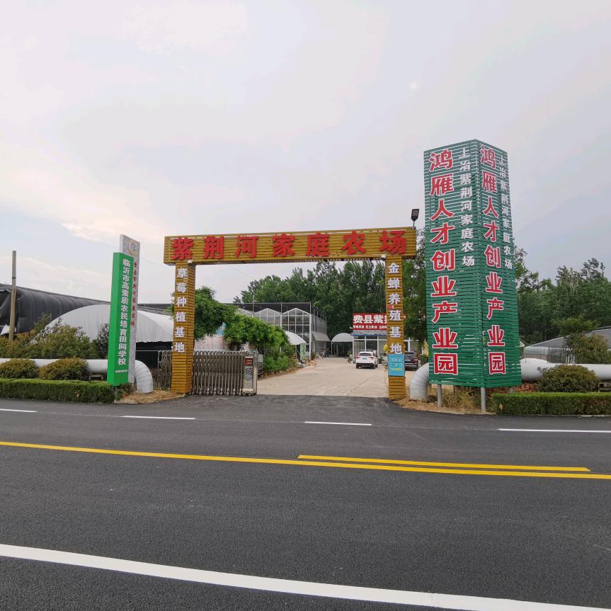 费县紫荆河家庭农场