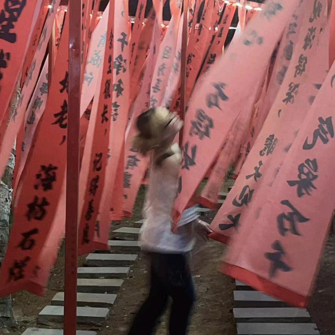 琴