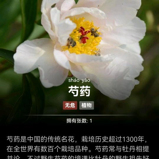 长得
