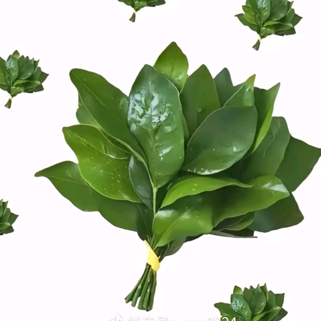 我是百度
