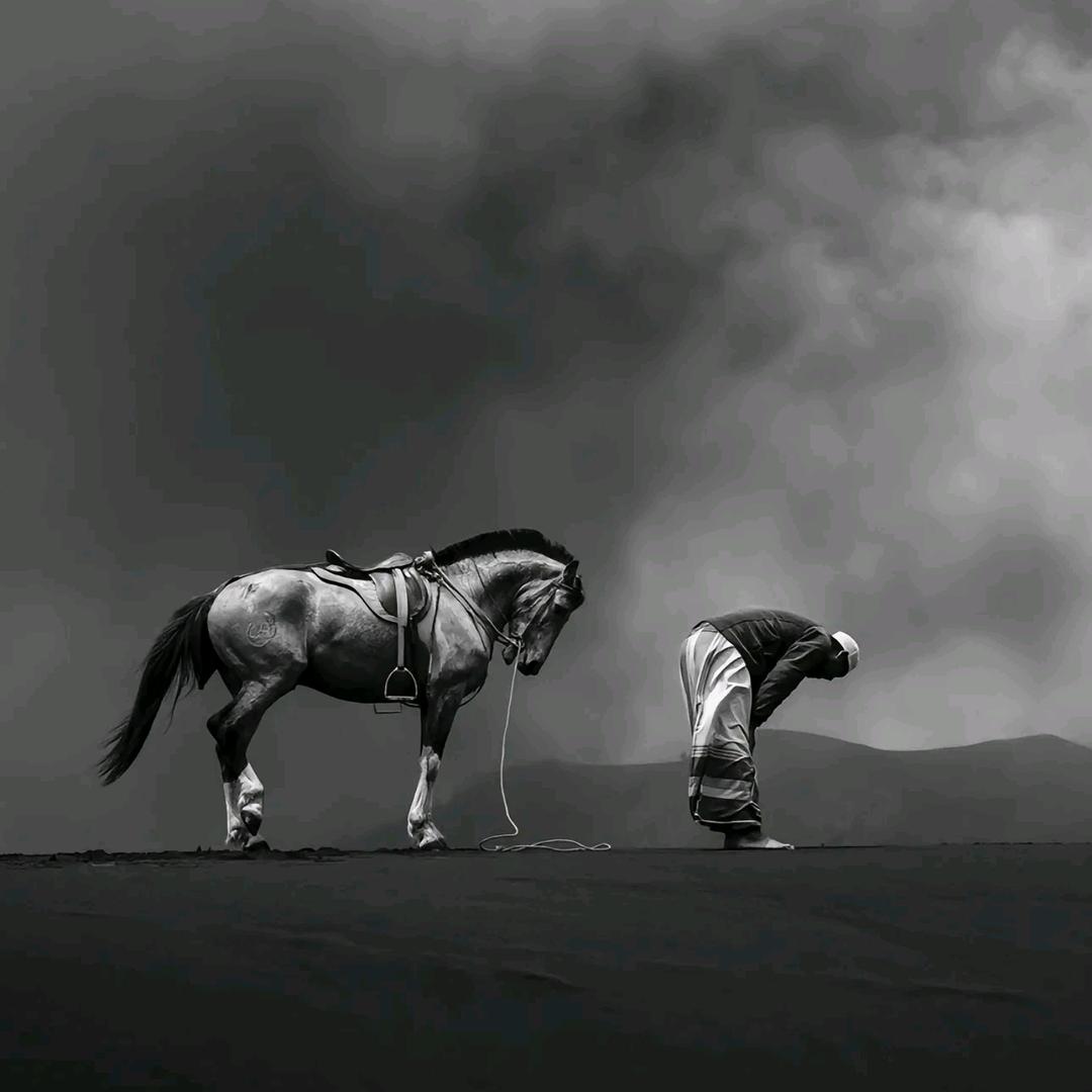 一切随风💉💉