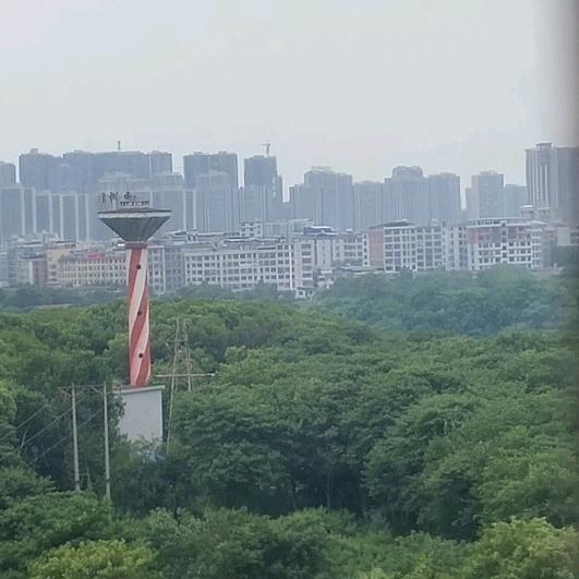 钟美糊涂头像