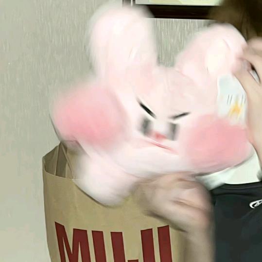 拯救啤酒兔🐰