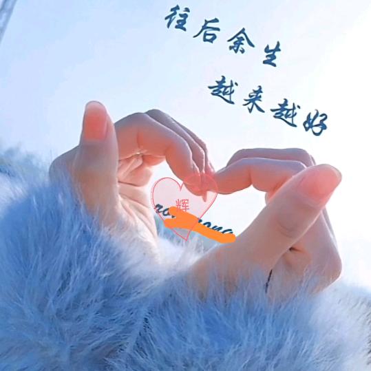 玫瑰修复中（兰考）