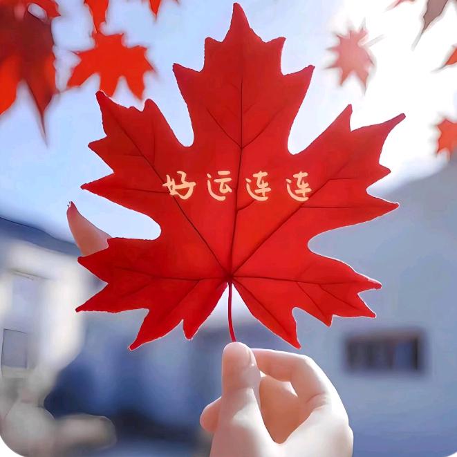 美鞋推荐