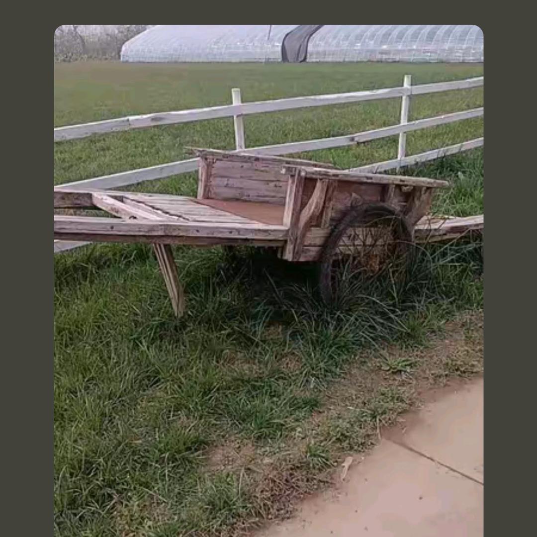 卍卐卐卍卐