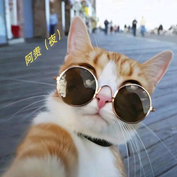往后余生@