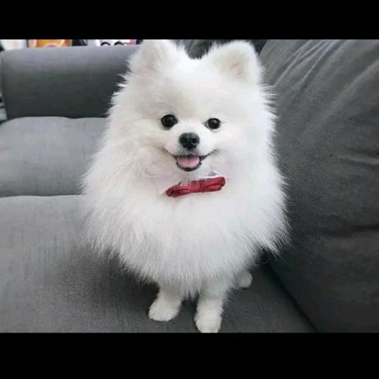 谁是谁