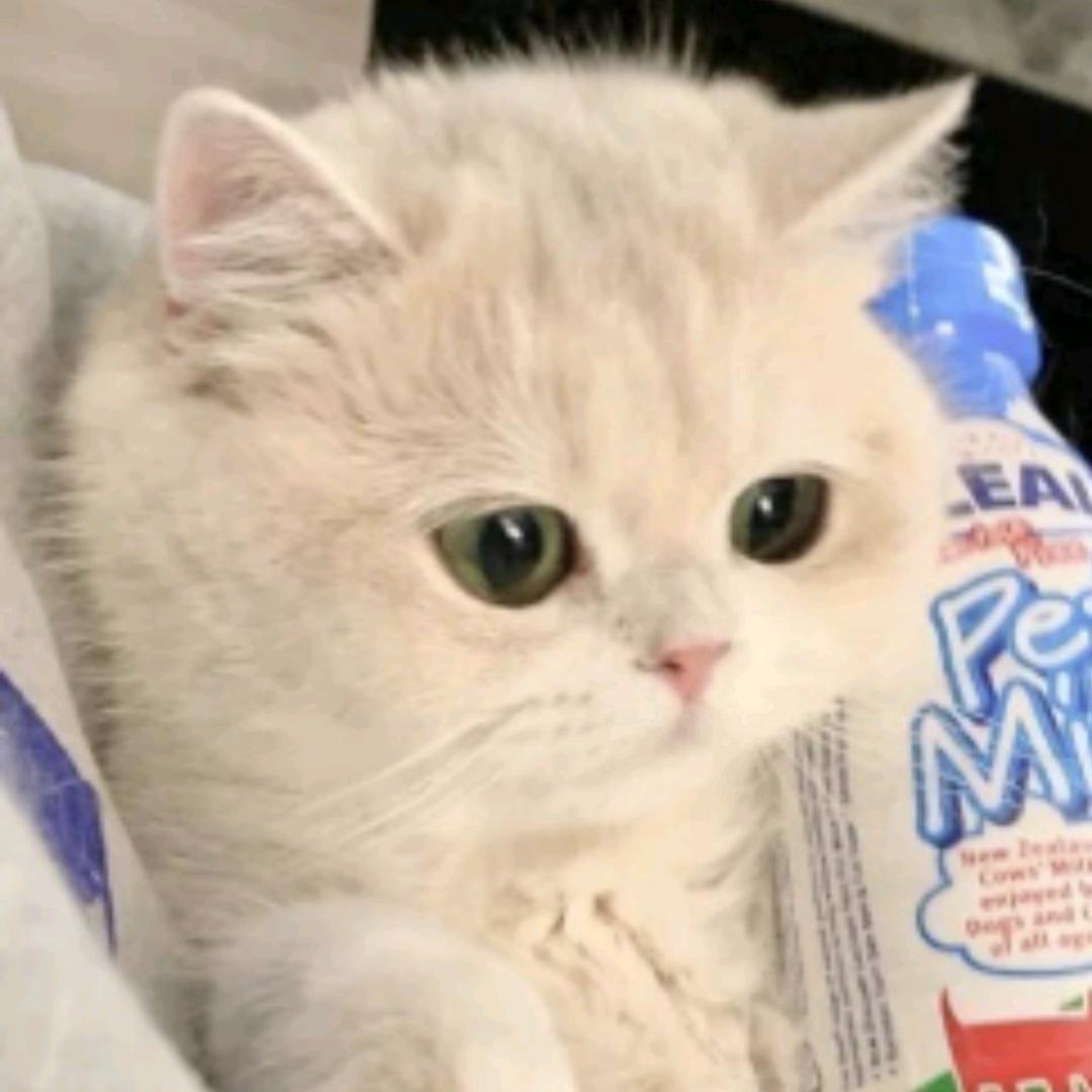 狂吃不胖的猪:D