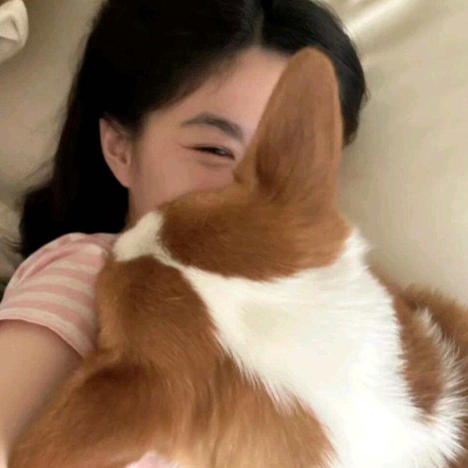 困飞的芒果