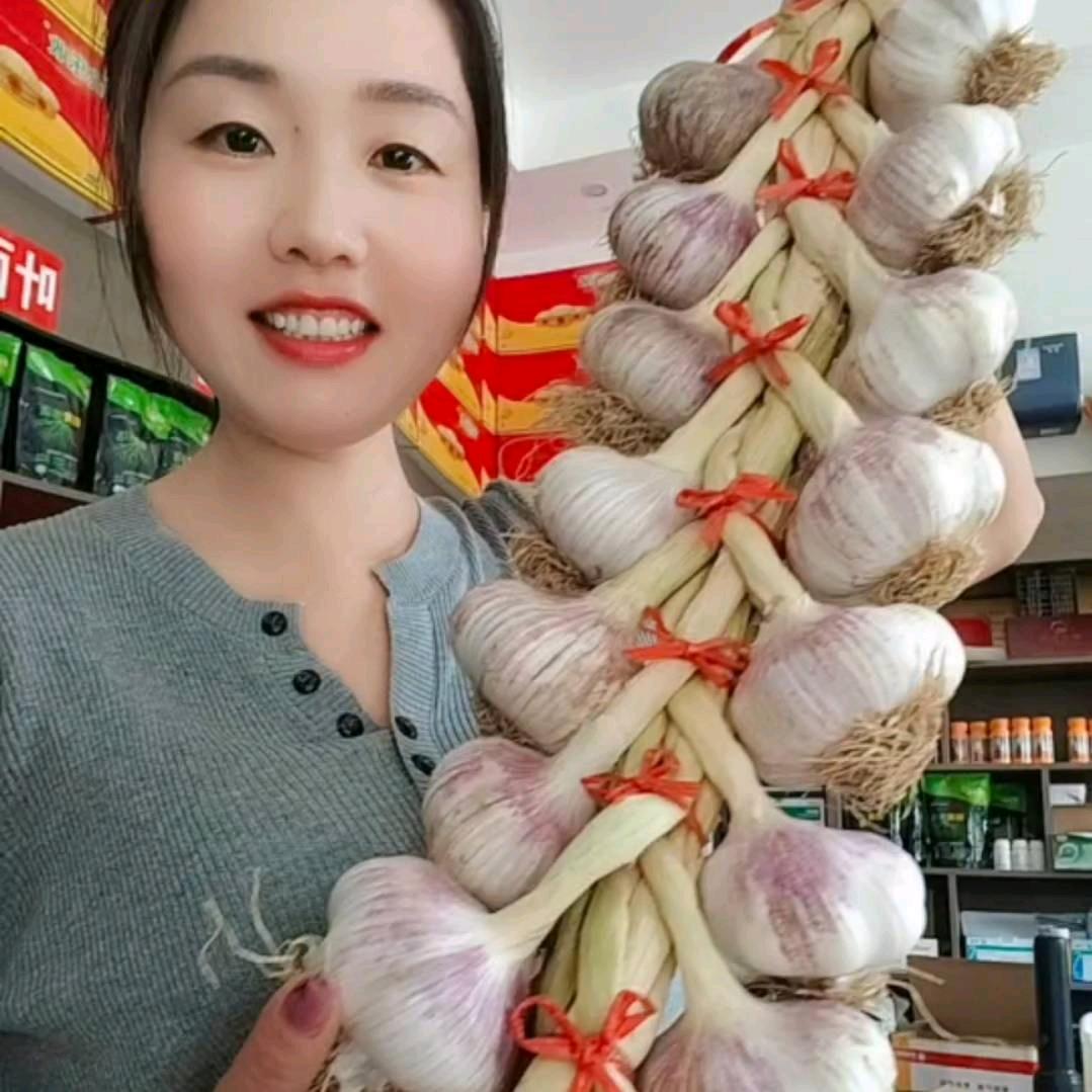 鹿台岗东军农资二平