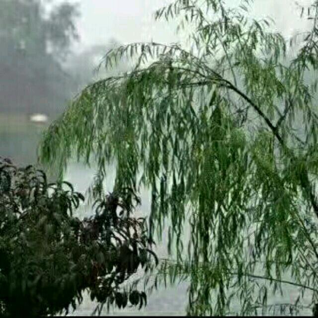 阿秀修鞋改衣