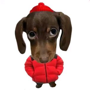 王得发