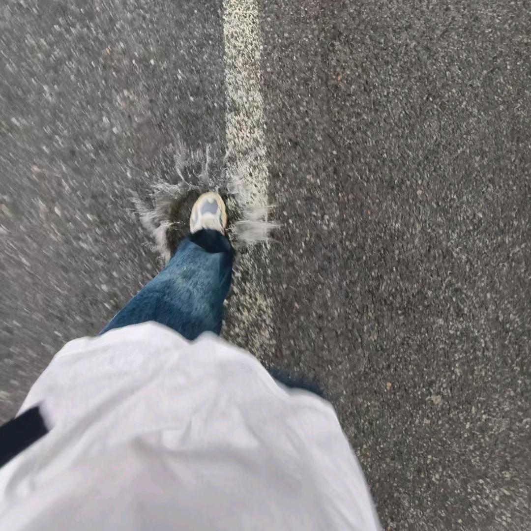 ¹⁹⁹⁸ㅤ