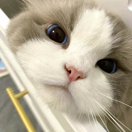 wink🍭（努力中）