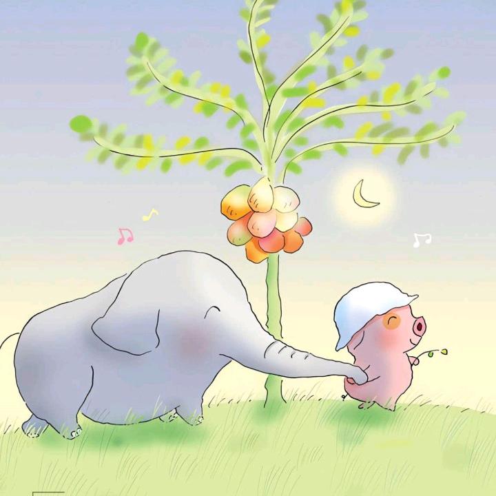 梅奥儿