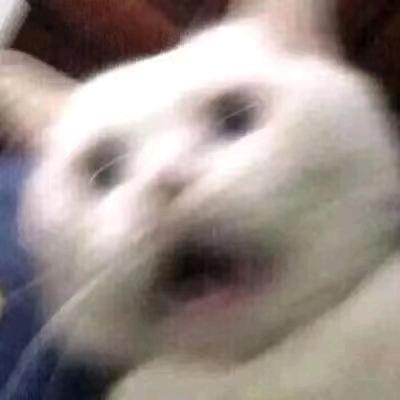 北鼻