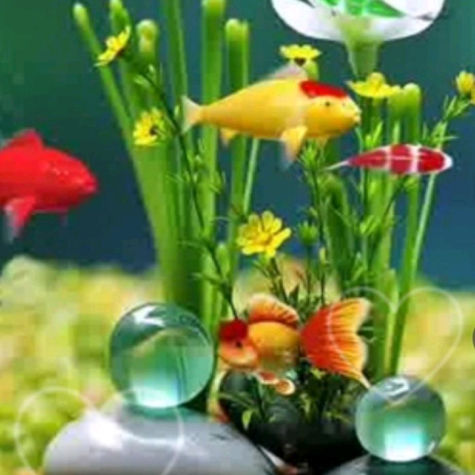 平安是福🍎🍎🍎