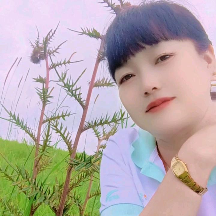 岁月🍂🍂微美〈〈拒绝私聊〉〉